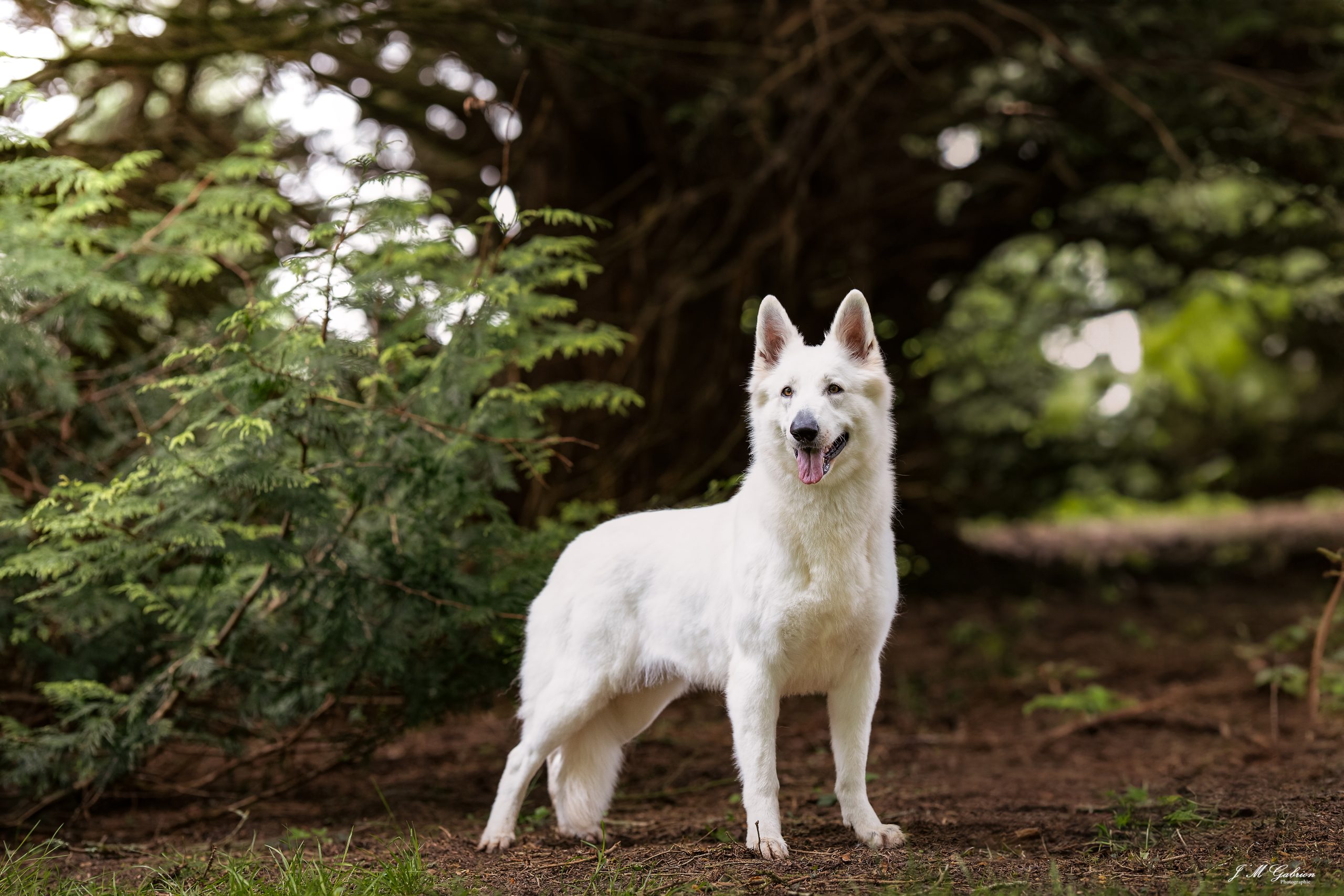 aurélie pons expo apres 1-1