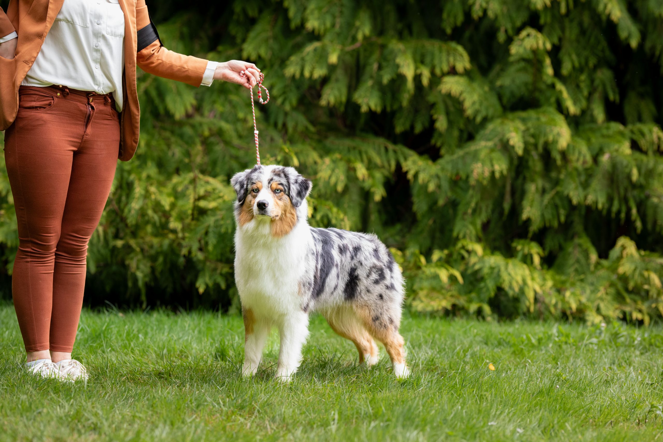 boissets expo avant 1-1