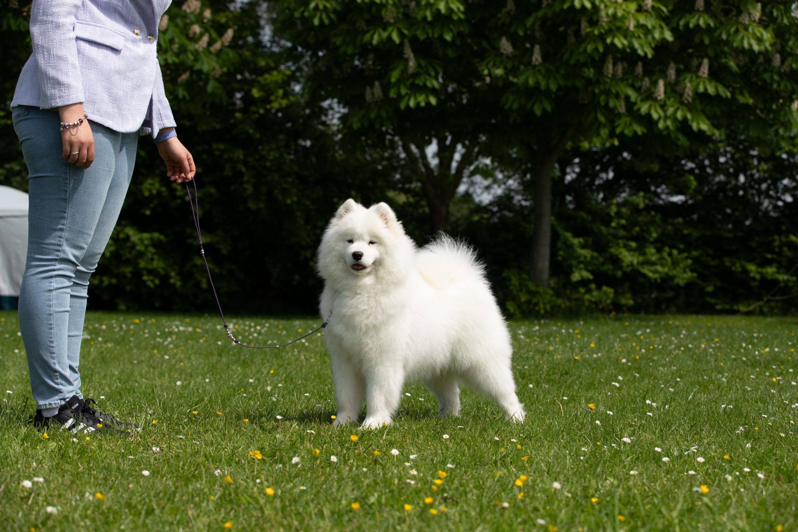 expo evreux avant 1-1